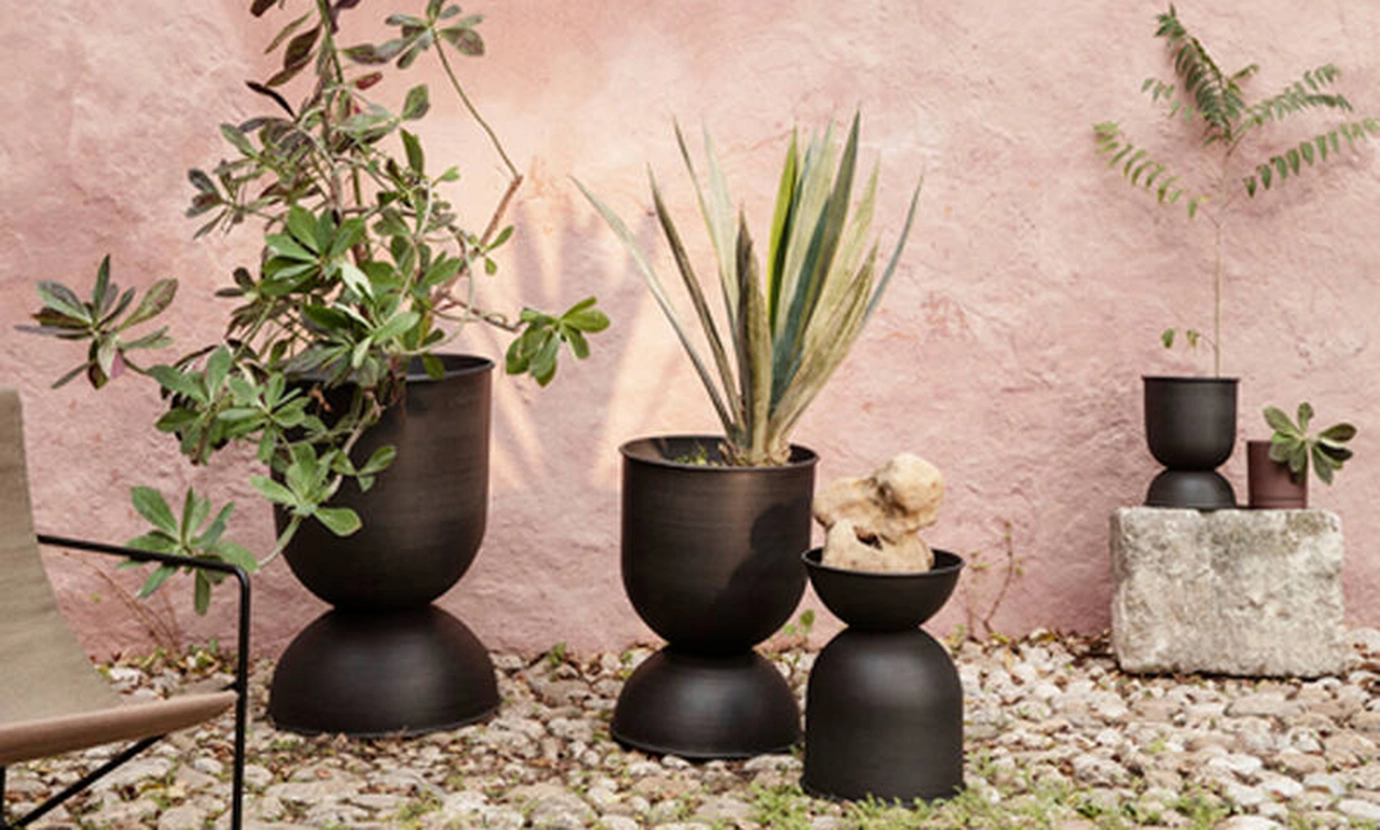 Pot and Planter