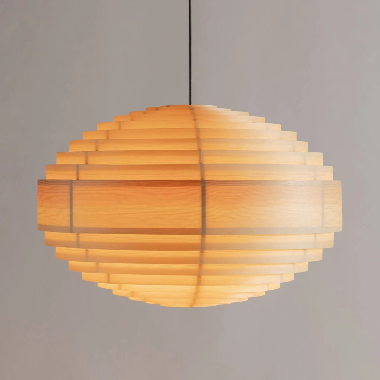 Suspension 1002 HANS Ø 70 VAARNII