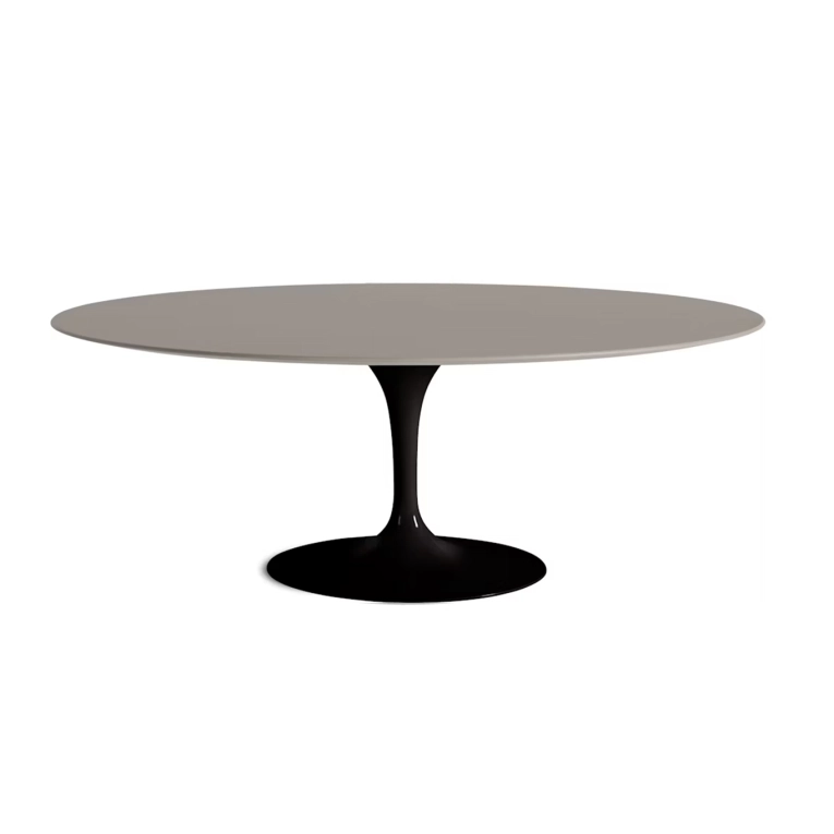 Dining Table SAARINEN Oval Fenix Top Modern Clay KNOLL