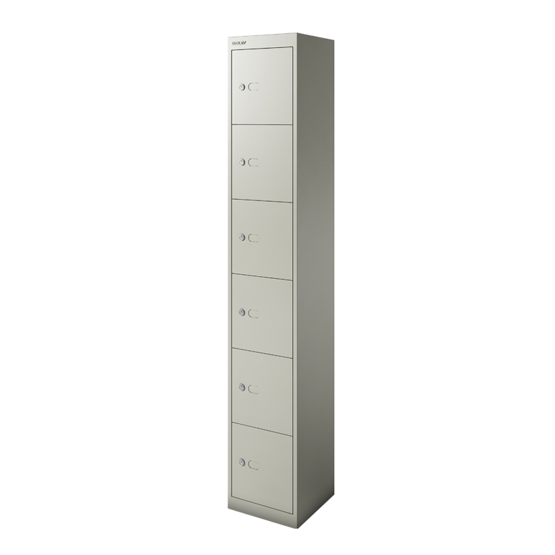 Meuble de rangement CLK 6 casiers Gris Goose BISLEY