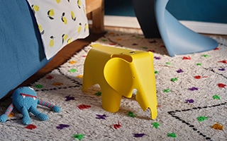 Toy & Accessories